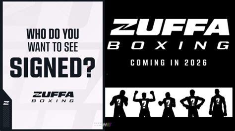 Zuffa Boxing Logo 的图像结果