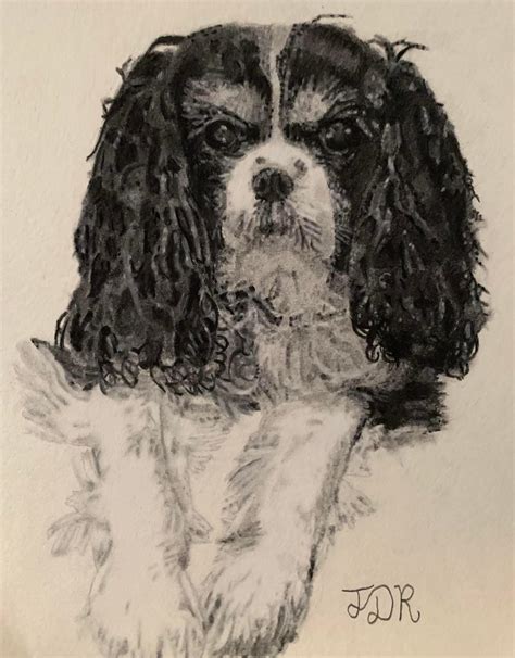 Image result for Small Dog Drawing