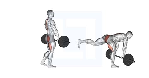 Cable Romanian Deadlift - Guide, Benefits, and Form