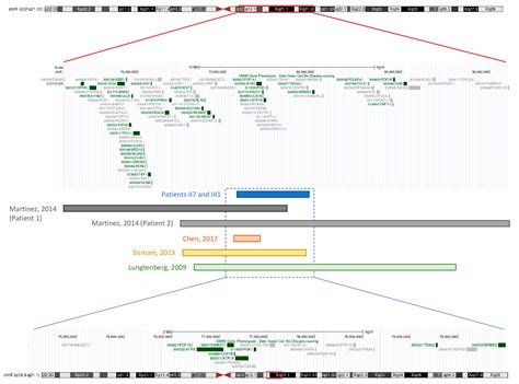 A Novel Large Duplication on the X Chromosome as a Cause of Familial ...