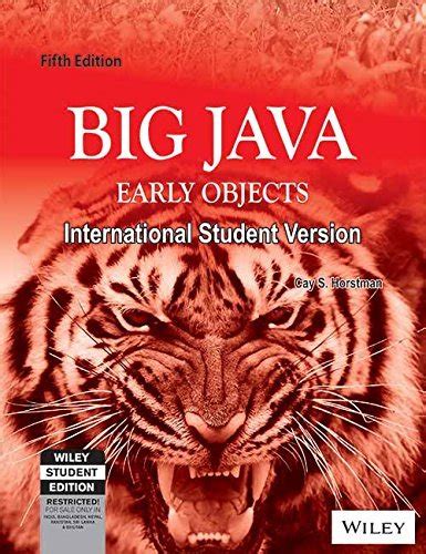 Image result for Big Java