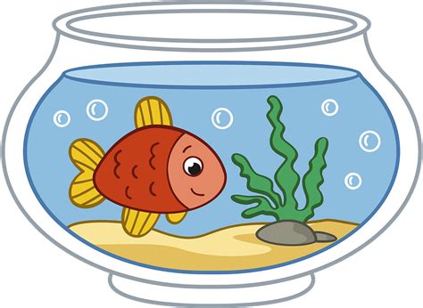 Aquarium clipart. Free download transparent .PNG | Creazilla