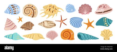 Shell 的图像结果