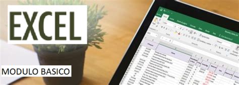 Image result for Programa De Excel Basico