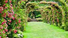 Garden Photo Wallpaper Hd by Garden Wallpapers Wallpaper Cave Garden Photo Wallpaper Hd
