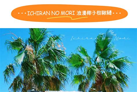 Itoshima: Shiraito Falls & Raizan Sennyoji Temple & Palm Tree Swing ...