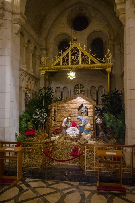 Watch Live: from 10.45 am. Solemn Mass of Christmas Day on the ...