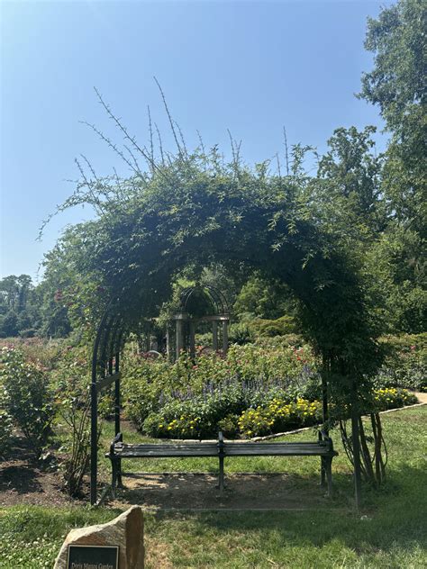 Fun Things to Do in Arlington: Bon Air Rose Garden & Park - The ...