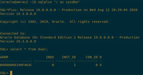 Image result for Dual Table Oracle