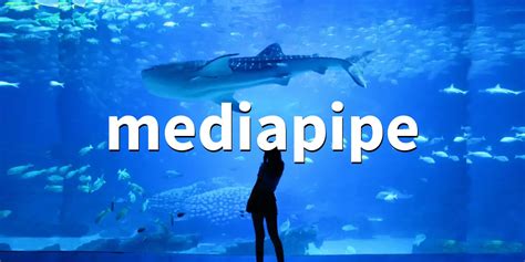 Image result for Media Pipe Python Notebook