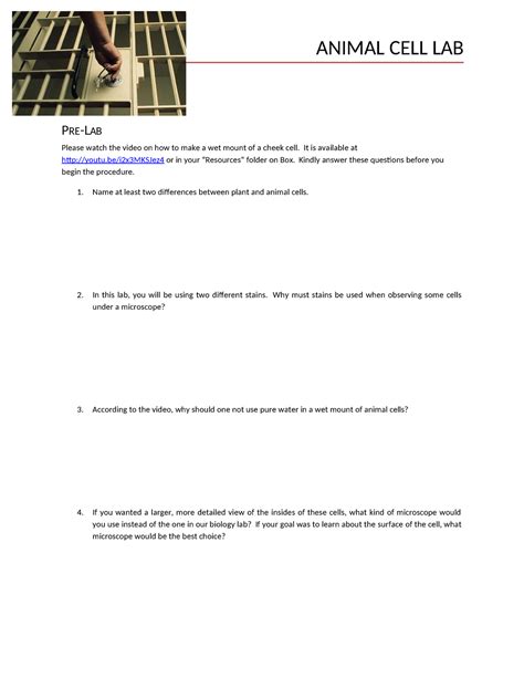 Cheek Cell Experiment Method 的图像结果