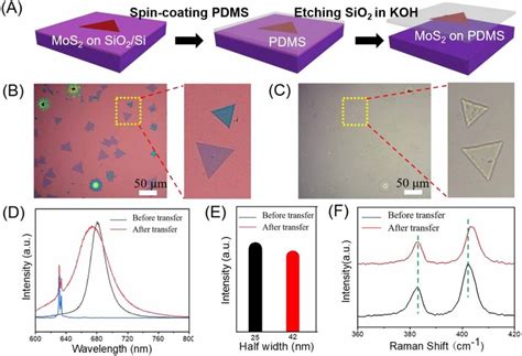 SiO2 Substrate 的图像结果