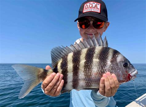 Sheepshead Fish Recipe