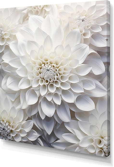 Amazon.com: DesignQ Dahlia Wall Art, Minimalist Beauty Of White Dahlias ...