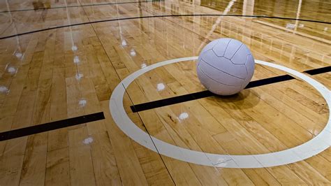 Netball Net 的图像结果