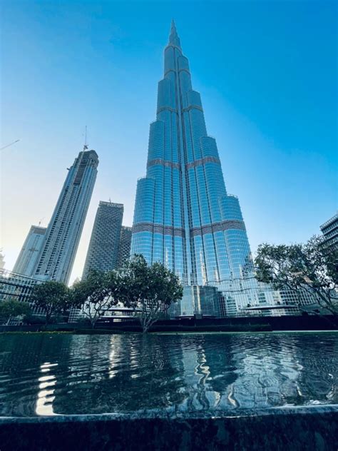 Image result for Random Easy Facts