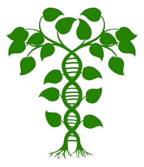 A Goldmine for Genetic and Epidemiology Discovery: UPDB | University of ...