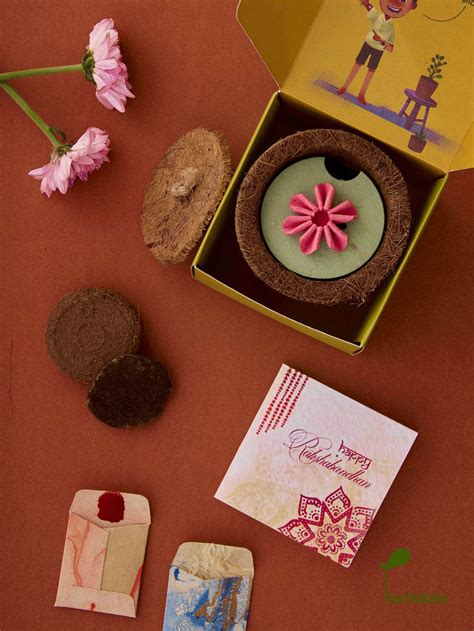 Daisy Delight Seed Paper Rakhi Planting Kit | Sustainable | Handmade