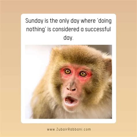 160 Funny Sunday Quotes And Images To Lighten Up Your Lazy