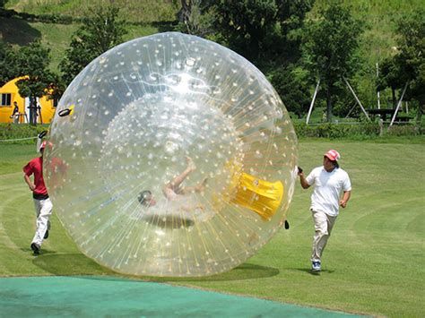 Human Hamster Ball 的图像结果
