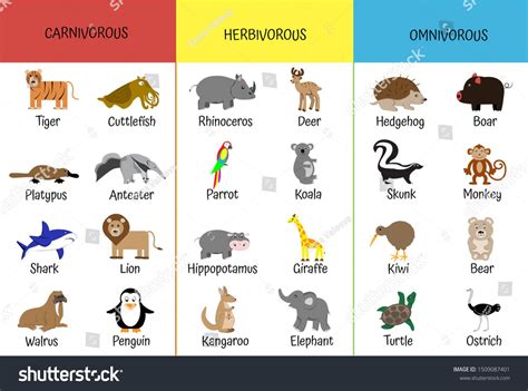 Carnivores, herbivores, omnivores. Animals by category. Educational card for children. Zoology ...
