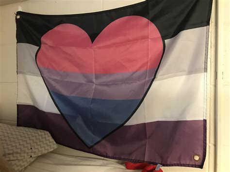 Forgot to post my biromantic ace flag I set up in my college dorm : r/asexuality