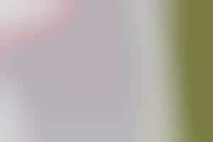 Snarky Holiday Sentiments: Flytrap Greeting Cards Take the Sap Out of ...