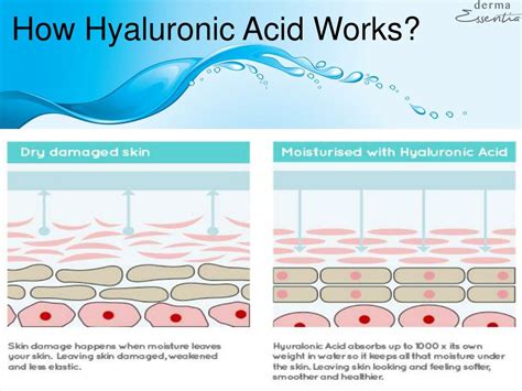 PPT - Top 7 Reasons to Gift Yourself The Hyaluronic Acid Skincare PowerPoint Presentation - ID ...
