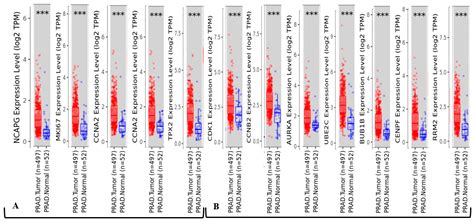 Endocrine Disrupting Chemicals Influence Hub Genes Associated with ...
