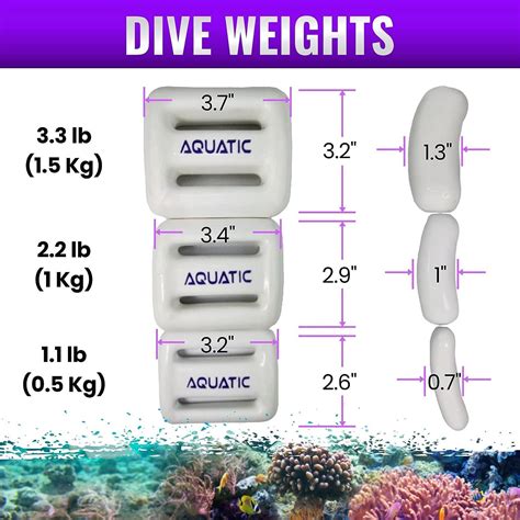 Lb Dive Weight