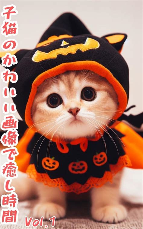 koneko no kawaii gazou de iyasi jikan (Japanese Edition) eBook ...