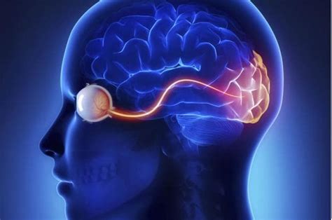 La visualización como herramienta poderosa