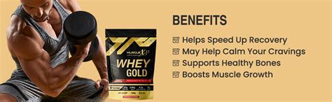 MuscleXP Whey Gold Protein - Premium Whey Protein Isolate with ...