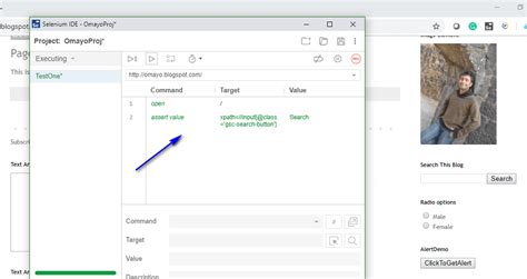 Image result for Assert in Python Selenium