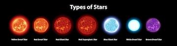 Different types of stars | Premium Vector