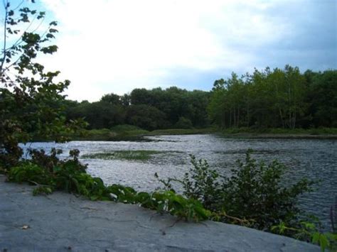 THE BEST Mount Pocono Hotels with Banquet Hall (with Prices) - Tripadvisor