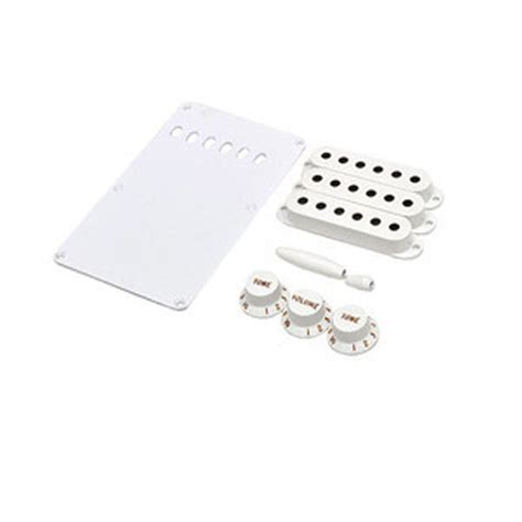 BAJAAO.COM - Buy Fender Accessory Kit (White) Online India, Musical ...