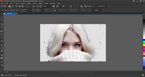 Image result for Remove Background in Corel