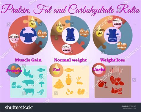 Ratio Of Protein Carbs And Fats