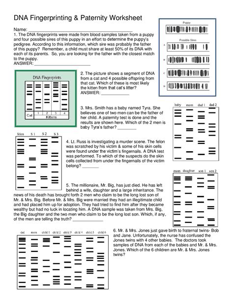 Image result for DNA Fingerprinting Worksheet Back Answer Key