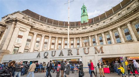 London iVenture Card - Klook India