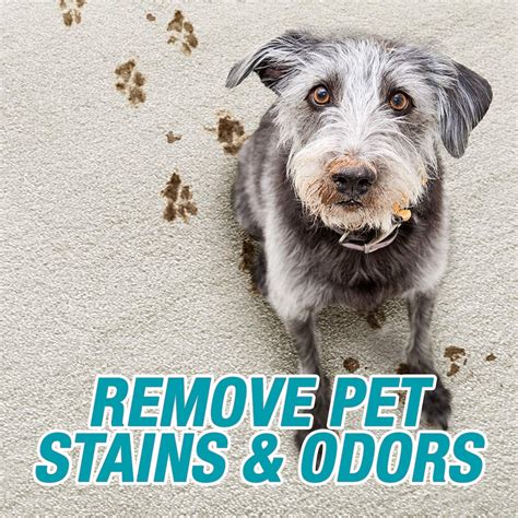 ArmourMe Pet stain Remover