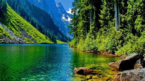 Image result for Nature Computer Backrounds