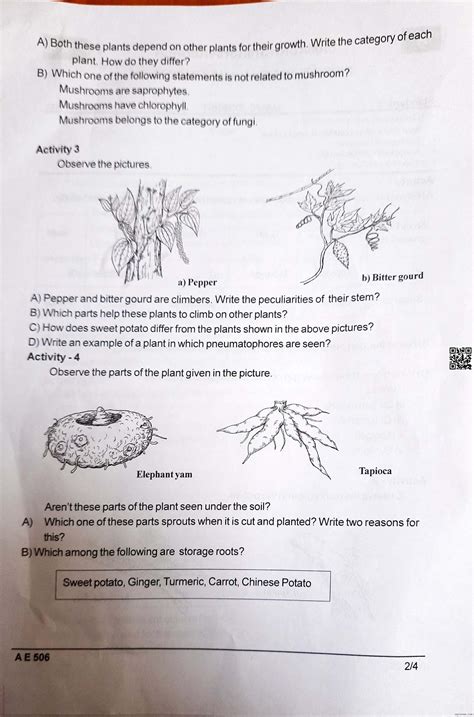 Image result for Class 5 Basic Science Chapter 4