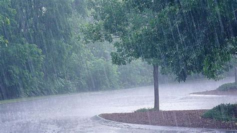 Special Weather Advisory: Heavy rain and lightning in most parts of the ...