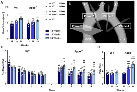 2D Projection Maps of WSS and OSI Reveal Distinct Spatiotemporal ...