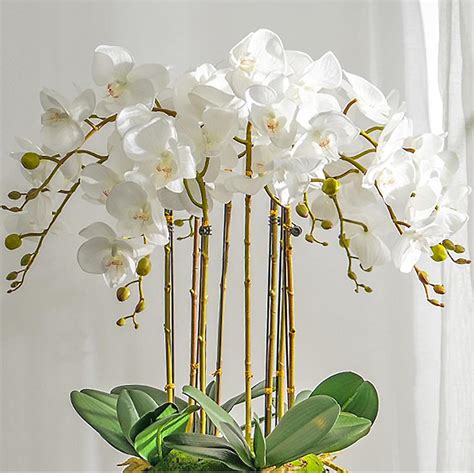 Amazon.com: DUYONE Artificial Orchid Plant, 35 Inch 4 Pcs Phalaenopsis ...
