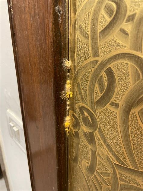 HOTEL GLOW INN (New Delhi) - Hotel Reviews, Photos, Rate Comparison ...