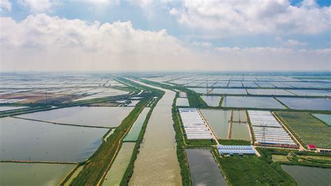 东辛打造高质高效现代渔业产业园区