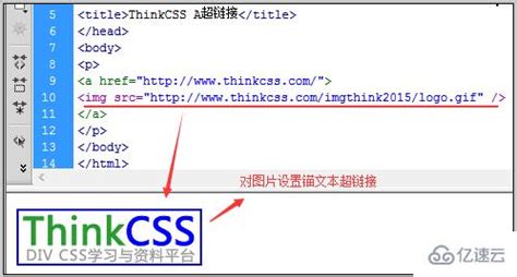【HTML】基础常用标签汇总_html标签-CSDN博客